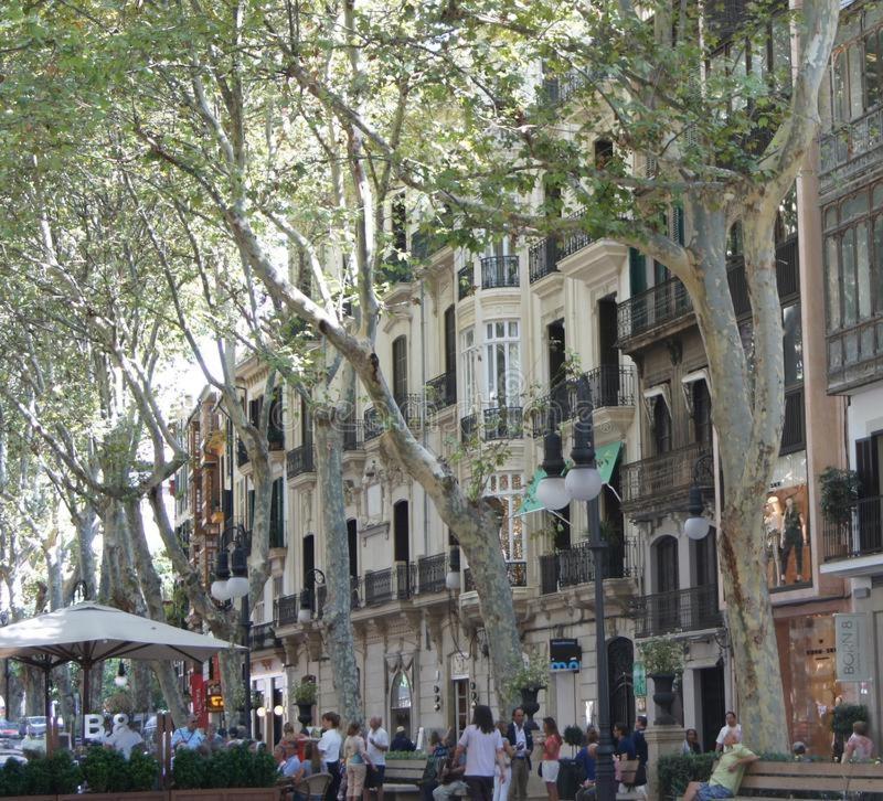 Rambla Palma Center Hotel ภายนอก รูปภาพ