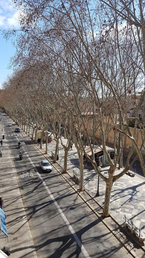 Rambla Palma Center Hotel ภายนอก รูปภาพ